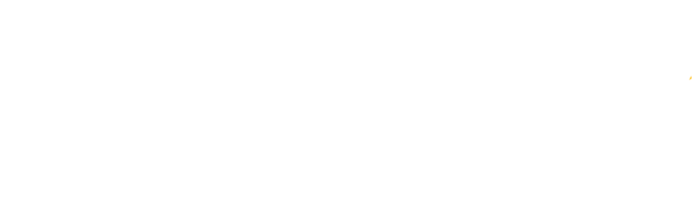 RAPID Learning Portal logo